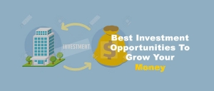 Best Investment Opportunities To Grow Your Money