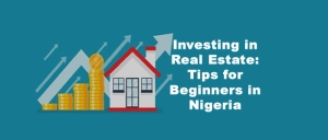 Investing In Real Estate: Tips For Beginners In Nigeria
